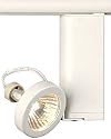 Lightolier Shallow Ring MR16