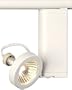 Lightolier White Shallow Ring MR16 Track Head