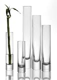 Produkt-Bild: LEONARDO 014080 Vase Noble 30 cm &Oslash; 6 cm klar