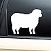 Sheep Vinyl Decal Laptop Car Truck Bumper Window Sticker