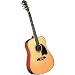 Washburn OG6S Acoustic Guitar