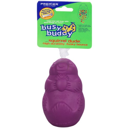 Best Dog Toys for Aggressive Chewers