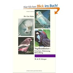 Vogelkrankheiten-: Ursachen, Erkennung, Behandlung
