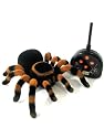 Natural History Museum Radio Control Tarantula