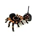 Natural History Museum Radio Control Tarantula