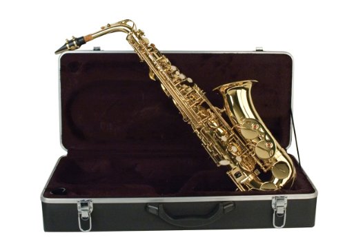Palatino E-Flat Alto Saxophone with thermoplastic case