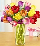 20 Multi-Colored Tulips by Proflowers On Sale