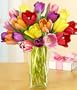 20 Multi-Colored Valentine's Tulips