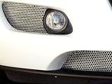 Mazda RX-8 Oil Cooler Guards