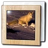 Arctic Fox - 6 Inch Tile Napkin Holder