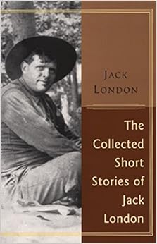 book On Fresnels Theory