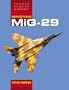 Mikoyan MiG-29 (Famous Russian Aircraft)