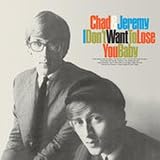 I Dont Want to Lose You Baby