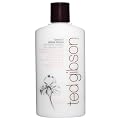 Ted Gibson Tame It Lotion - 8.0 oz.