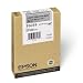 EPSON AMERICA T605900 INK, LT LT BLACK, ULTRACHROME K3,