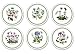 Pimpernel Botanic Garden set of 6 Round Placemats