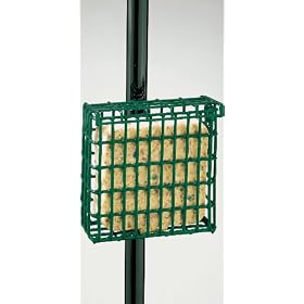 Droll Yankees, Inc Suet Feeder with Pole Clamp by