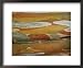 Abstract Created by a Close View of Snow Gum Tree Bark National Geographic Collection...