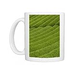 Rows of green tea bushes growing on the Makinohara tea plantations in Shizuoka, Photo Mugs