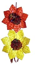 Planet Pleasures Sunflower Bird Toy, Large
