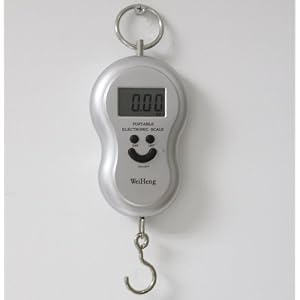 Digital Hanging Luggage Fishing Weight Scale 40kg 10g--sliver