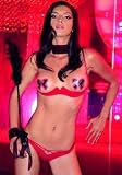 Valentine's Day 3PC Underwire Bustless Mesh Bra Sexy Lingerie Intimate Apparel with Bow Pasties and Criss Cross Panty