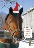 Have a Merry Merry Boxed Holiday Cards - 5 X 7 - Box Of 12 Cards