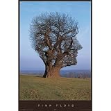 Pink Floyd Poster Tree Face 24X36 Album Art Rock 24922