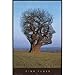 Pink Floyd Poster Tree Face 24X36 Album Art Rock 24922