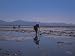 People Working Tirelessly in a Water Covered Field Photographic Poster Print, 16x12