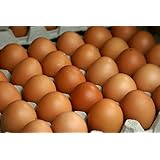 GRASS FED, NON-GMO FED FREE RANGE BROWN & COLORED CHICKEN EGGS - 4 DOZEN