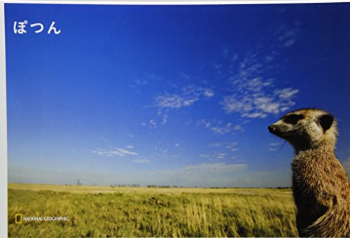 ナショジオ ワンダーフォトブック ぽつん (ナショジオワンダーフォトブック)