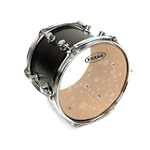 Evans Hydraulic Glass Drum Head, 13 Inch