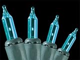 Review Everstar  / Set of 50 Teal Mini Christmas Lights With Green Wire #ES66-488