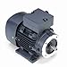 Leeson Electric 192028.00 - IEC Frame AC Motor - 3 ph, 0.25 kW, 1800 rpm, 230/460 V, D71C Frame, Totally Enclosed Fan Cooled Enclosure, 60 Hz