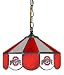14" Swag Hanging Lamp Light Ohio State University OSU Buckeyes - Free Shipping