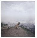 Alec Soth: Dog Days Bogota