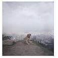 Alec Soth: Dog Days Bogota