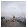 Alec Soth: Dog Days Bogotá