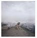 Dog Days, Bogota