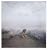 Alec Soth: Dog Days Bogota