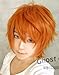EZ2WORLD Hot Sell! New Short Orange Anti-Alice Cosplay Wig