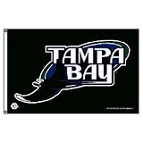 Tampa Bay Rays MLB 3