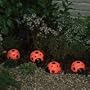 Smart Solar/Smart Solar 3656MRM4 Ladybug Solar Light Set. 4 pack. Red