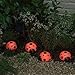Smart Solar/Smart Solar 3656MRM4 Ladybug Solar Light Set. 4 pack. Red