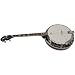 Irish Tenor Banjo