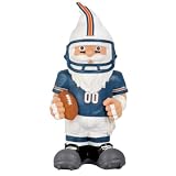 NFL Miami Dolphins Throwback Gnome