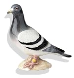 John Beswick Pottery Pigeon.