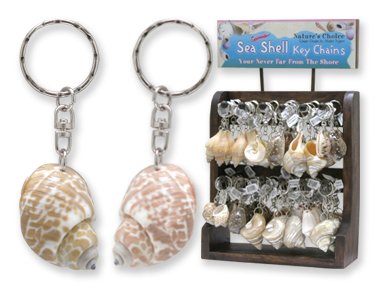 Genuine SEA SHELL KEYCHAINS! Free Display Available!