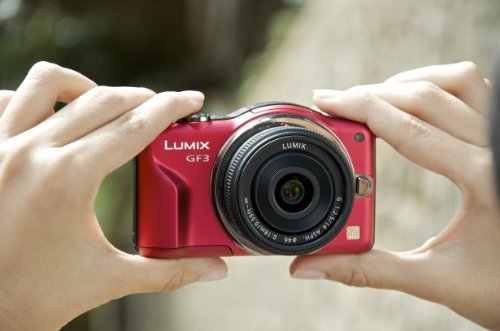Imagen 5 de Panasonic DMC-GF3KEF-R